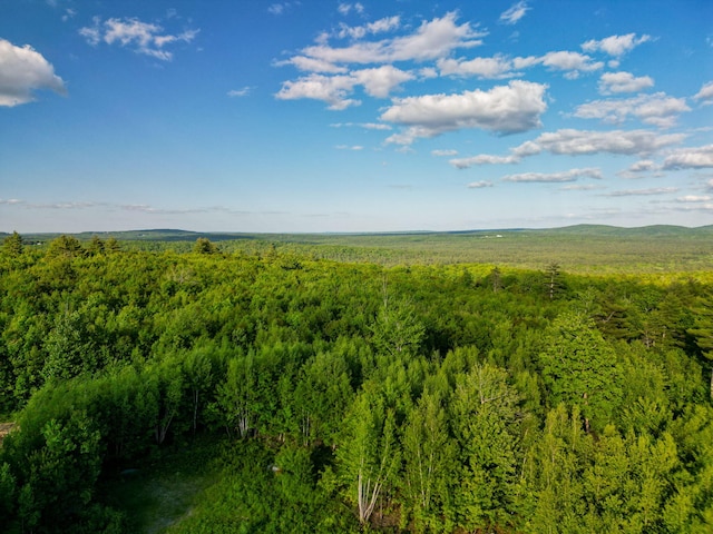 LOT3 Vista Way, Naples, ME 04055 - photo 16