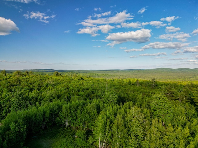 LOT3 Vista Way, Naples, ME 04055 - photo 17
