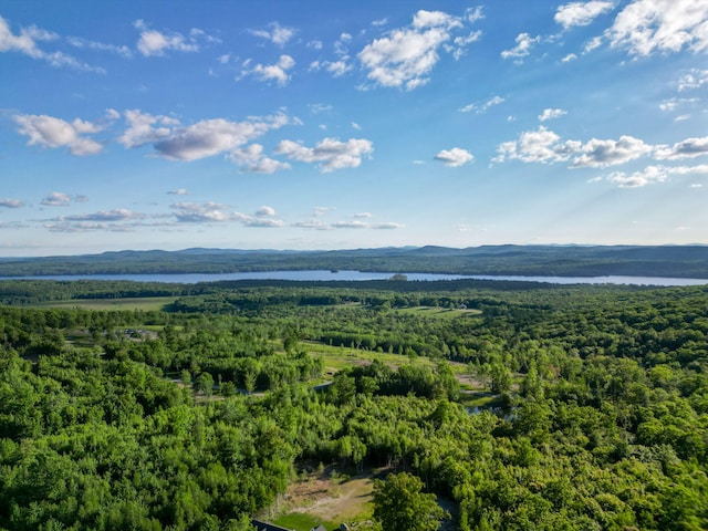 LOT3 Vista Way, Naples, ME 04055 - photo 19