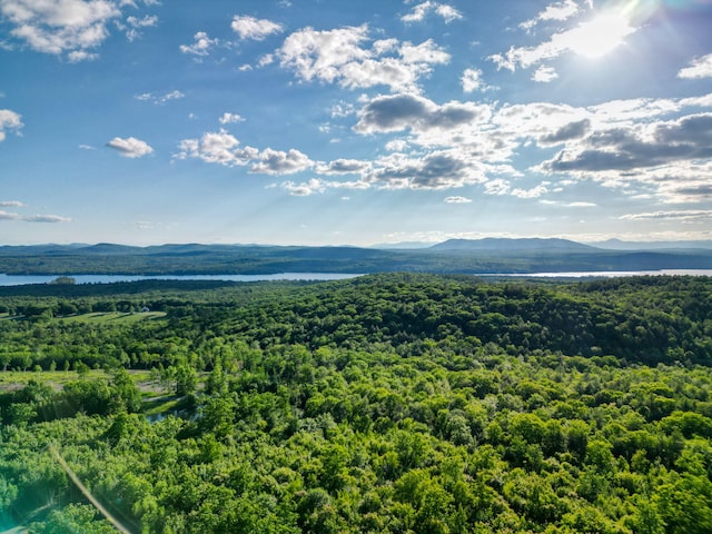 LOT3 Vista Way, Naples, ME 04055 - photo 21