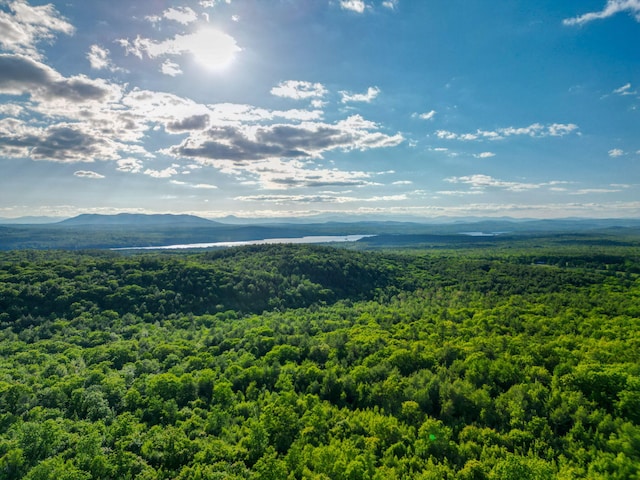 LOT3 Vista Way, Naples, ME 04055 - photo 22