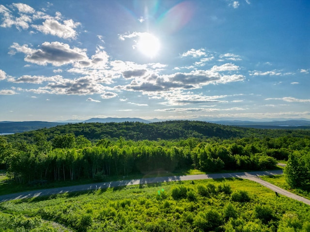 LOT3 Vista Way, Naples, ME 04055 - photo 23