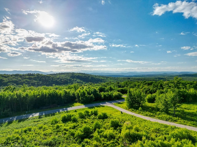 LOT3 Vista Way, Naples, ME 04055 - photo 24