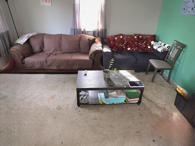 living room with carpet floors