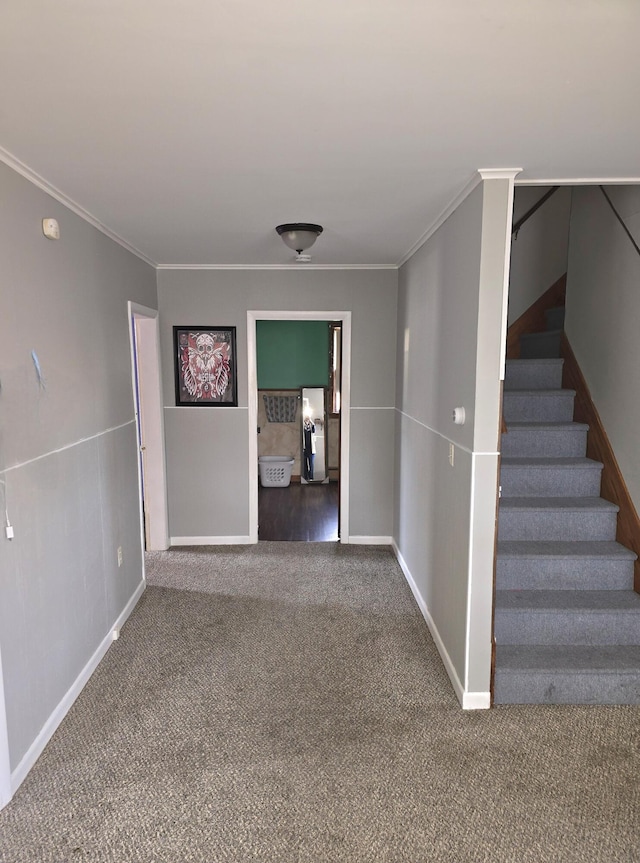 corridor featuring crown molding and carpet floors