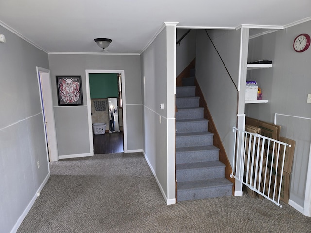 stairway with carpet floors and ornamental molding