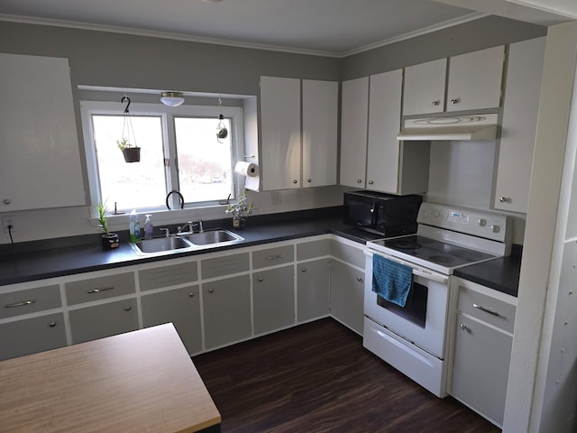 kitchen with sink, dark hardwood / wood-style flooring, white range with electric stovetop, white cabinets, and ornamental molding