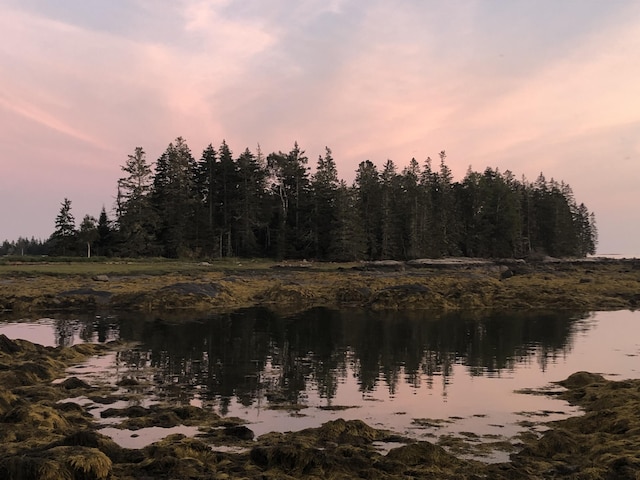 83 Weir Point Rd, Saint George, ME 04859 - photo 8