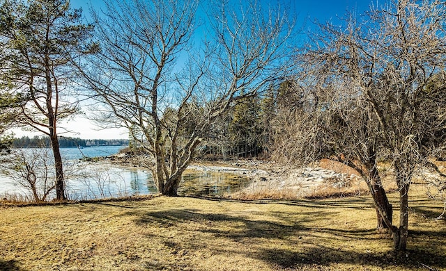 property view of water