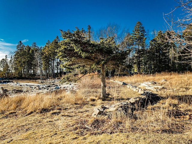 view of local wilderness