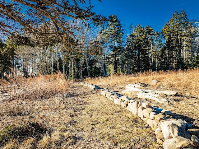 view of local wilderness