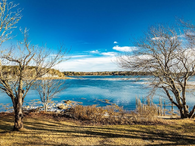 property view of water