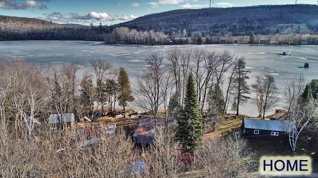 property view of water featuring a mountain view and a wooded view