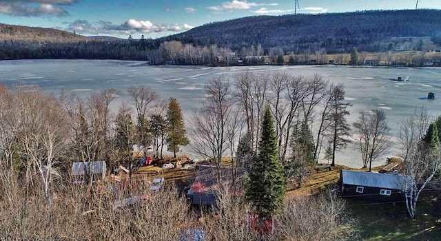 water view featuring a forest view and a mountain view