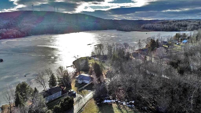 property view of water with a mountain view