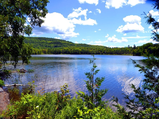 water view featuring a wooded view