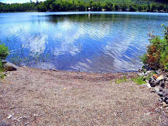 water view with a forest view