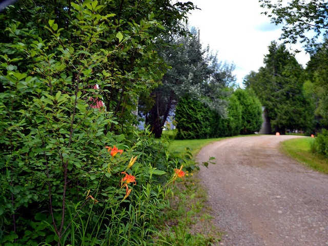 view of street