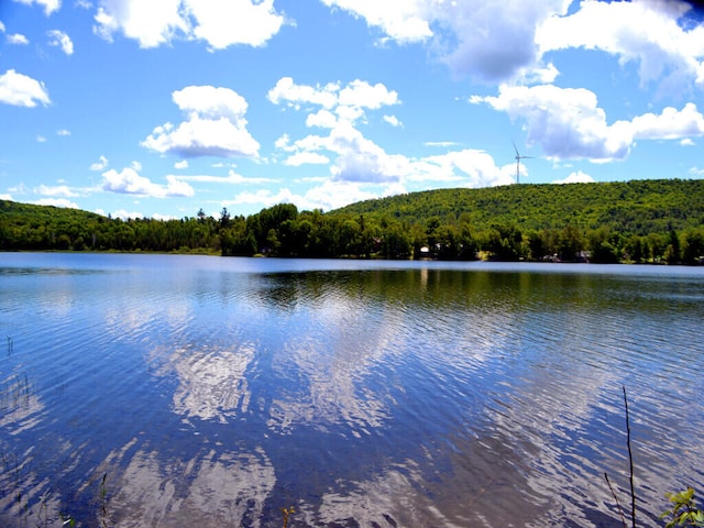 water view featuring a view of trees