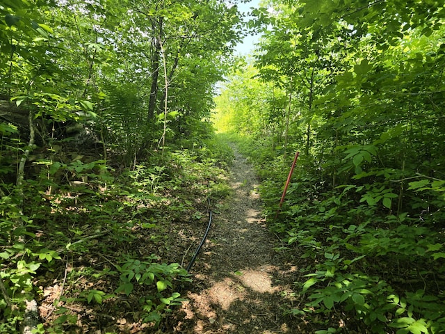 53 Calvin Ln, Oakfield, ME 04763 - view of nature
