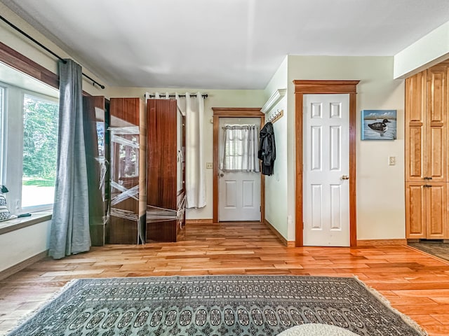 foyer featuring a healthy amount of sunlight and light wood-type flooring