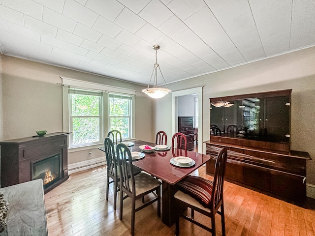 dining room with a baseboard radiator and light hardwood / wood-style floors