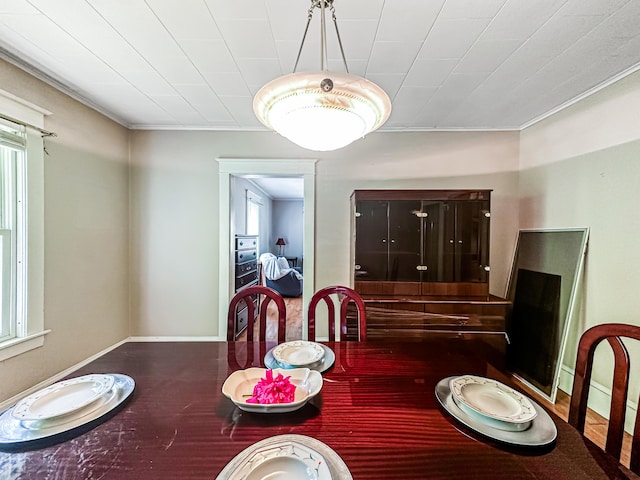 dining room with a wealth of natural light