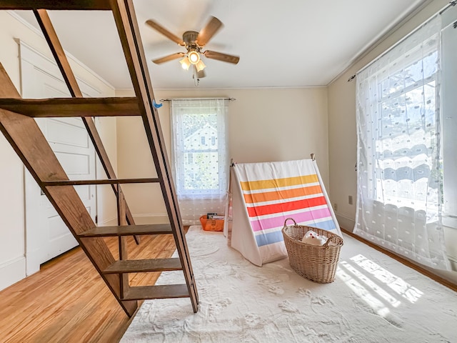 bedroom with crown molding, ceiling fan, and light wood-type flooring