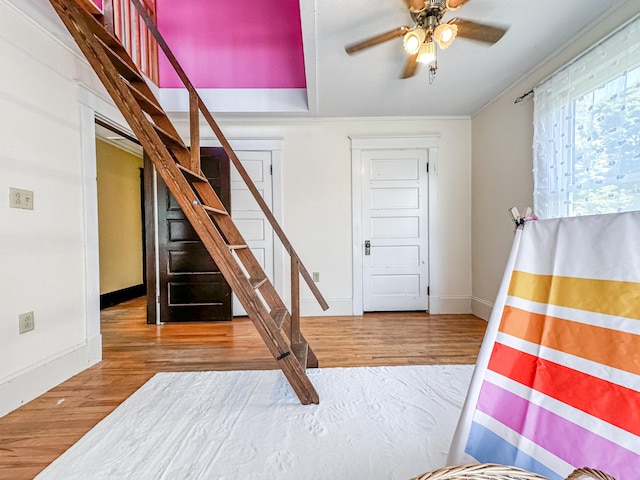 stairs featuring hardwood / wood-style flooring, ceiling fan, and crown molding