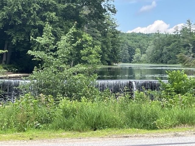 view of water feature