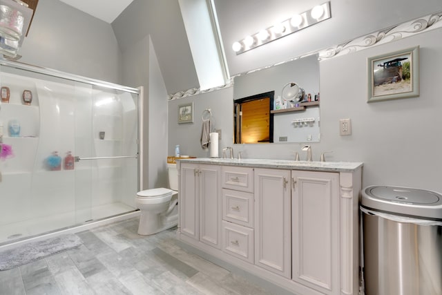 bathroom featuring vanity, toilet, and walk in shower