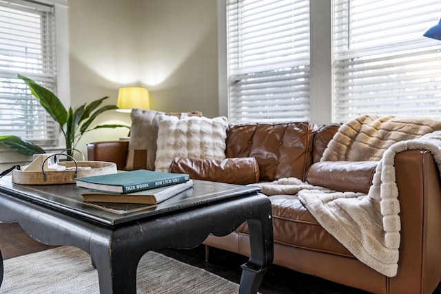 living room with wood-type flooring