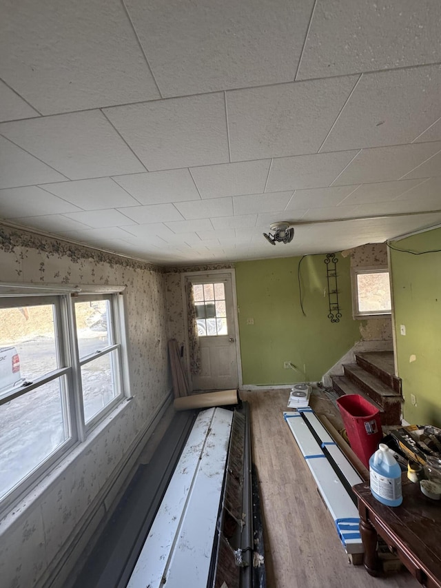 basement featuring hardwood / wood-style floors