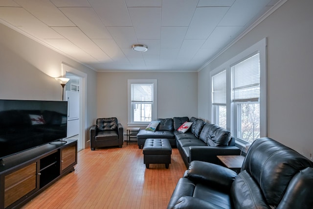 living room with crown molding and light hardwood / wood-style flooring