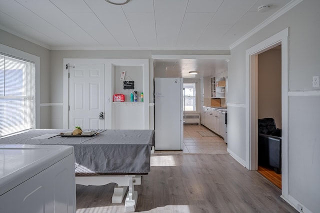 kitchen with ornamental molding, radiator heating unit, light hardwood / wood-style floors, and white refrigerator