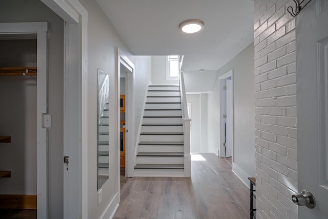 stairway with wood-type flooring