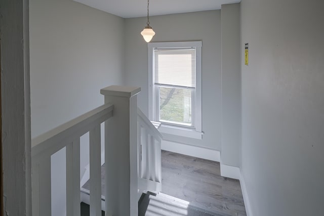 stairs featuring wood-type flooring