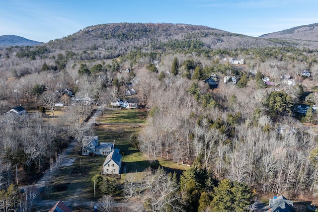 drone / aerial view featuring a mountain view