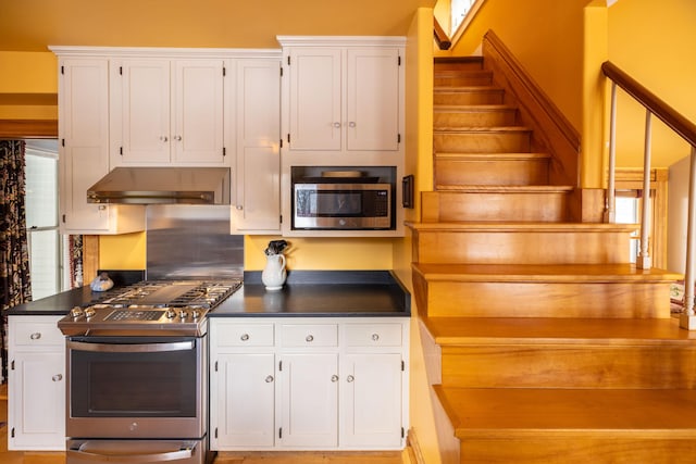 kitchen featuring white cabinets, ventilation hood, and stainless steel appliances