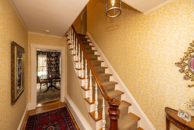 stairs with hardwood / wood-style floors and ornamental molding