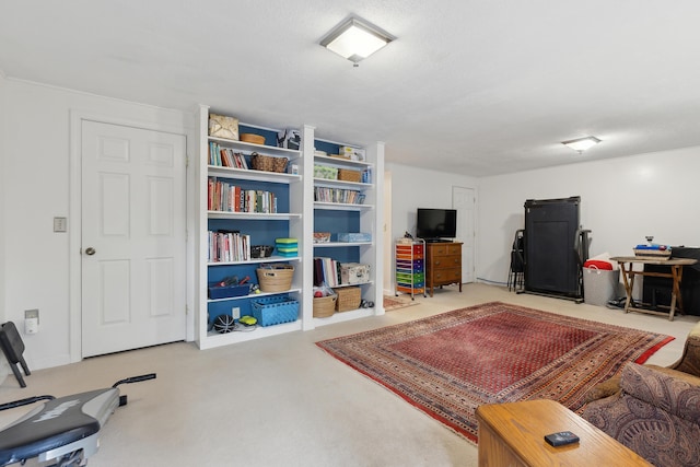 29 Sadler Dr Unit 29, Brunswick, ME 04011 - living room with carpet floors