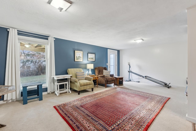 29 Sadler Dr Unit 29, Brunswick, ME 04011 - living area featuring carpet flooring and a textured ceiling
