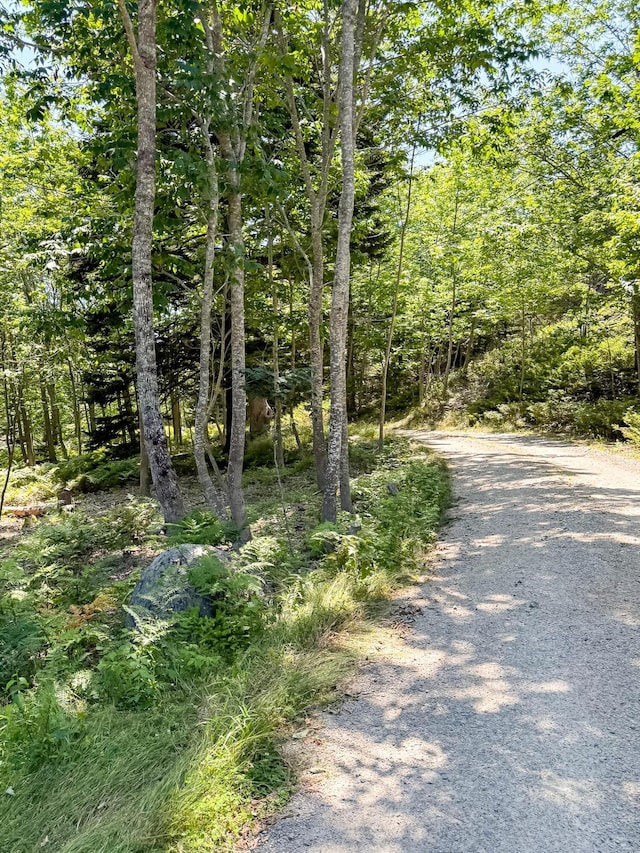 011-032-4 Aw Smith Rd, Vinalhaven, ME 04863 - photo 13