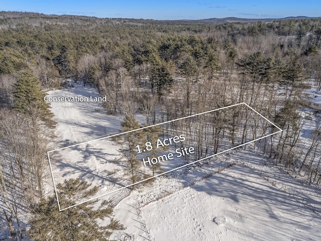 Listing photo 3 for LOTB341 Bridge St, Newfield ME 04095