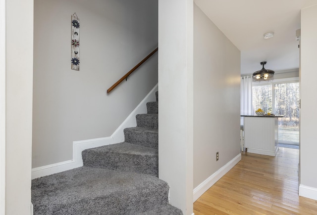 stairway with hardwood / wood-style flooring