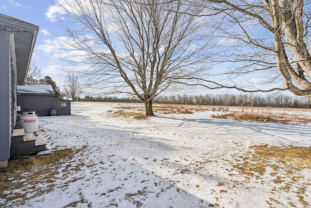 view of yard covered in snow