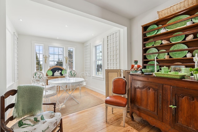 living area featuring light hardwood / wood-style floors