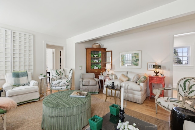 living room featuring hardwood / wood-style floors