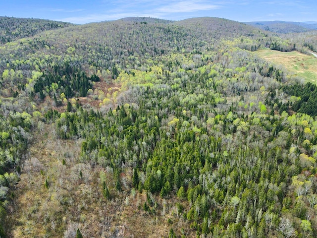 500 Violette Settlement Rd, Fort Kent, ME 04743 - photo 3