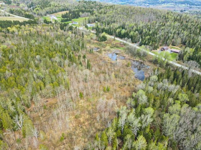 500 Violette Settlement Rd, Fort Kent, ME 04743 - photo 5